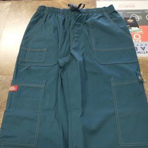 Men's Dickies Pant